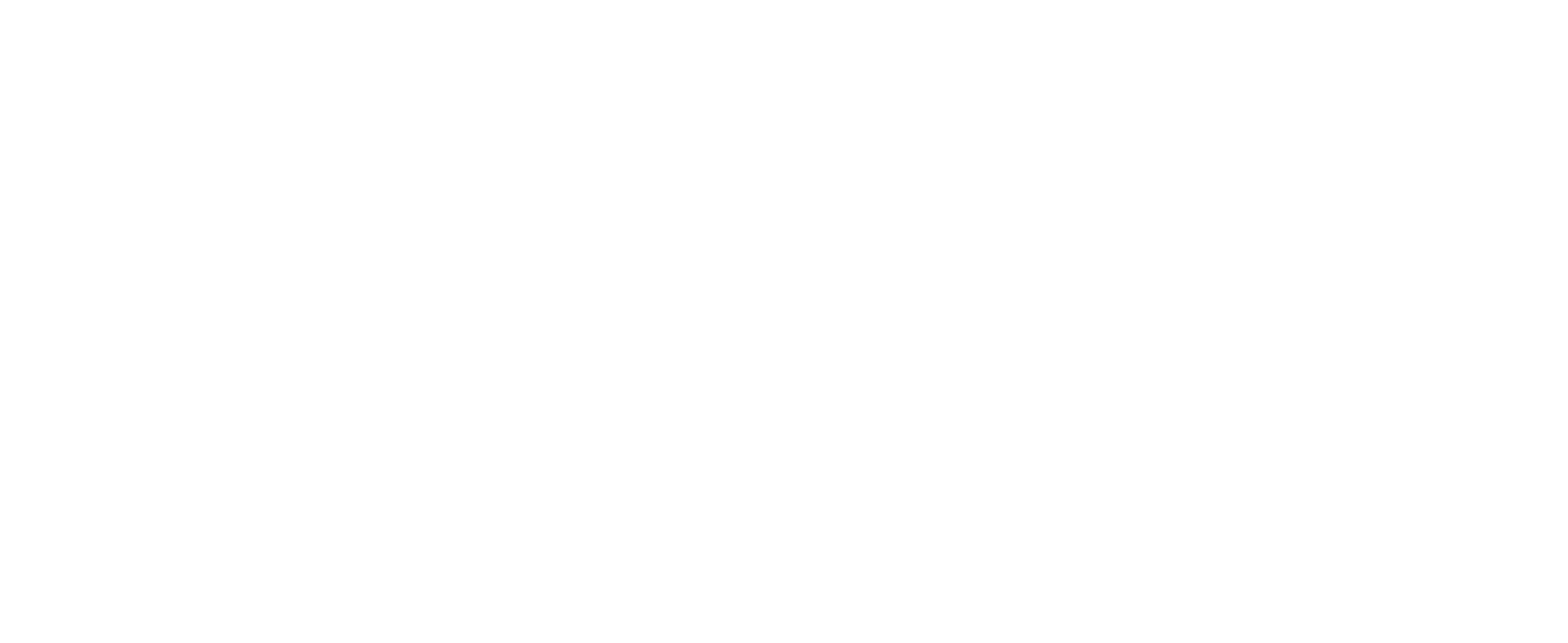 Koenig Public Policy & Political Consulting